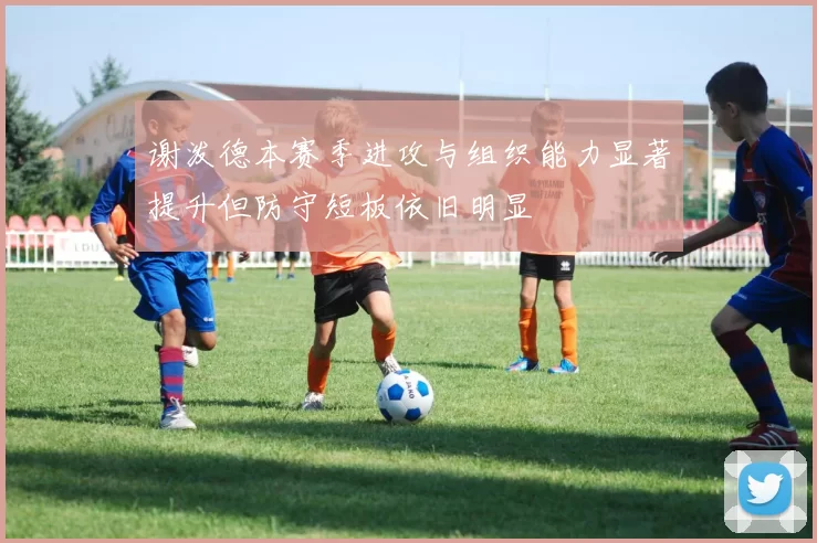 谢泼德本赛季进攻与组织能力显著提升但防守短板依旧明显