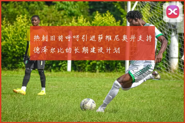 热刺旧将呼吁引进萨维尼奥并支持德泽尔比的长期建设计划